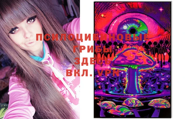 прущий лед Абаза
