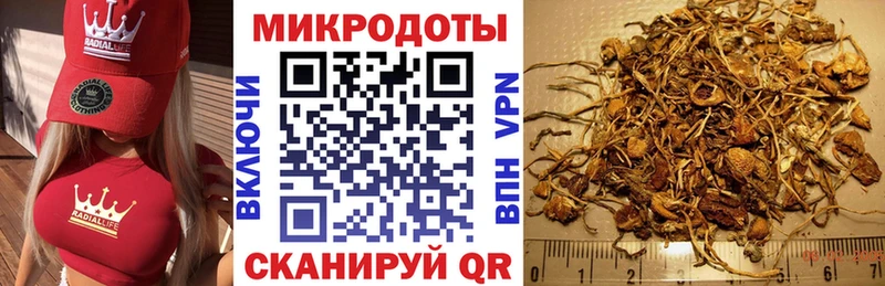 Псилоцибиновые грибы GOLDEN TEACHER  Юрга 
